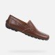 Zaptos Hombre Geox Moner Café