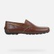 Zaptos Hombre Geox Moner Café