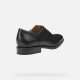 Zapatos Hombre Geox U Federico V Negro