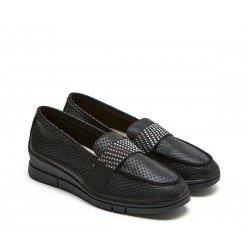 24 Hrs 24816 Serpiente Negro