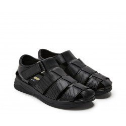 24 Hrs 11339 Negro